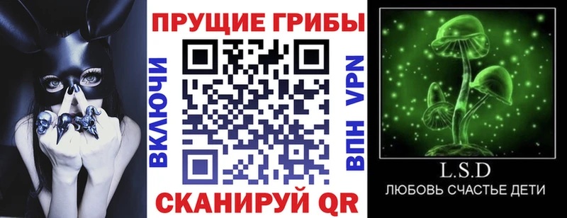 хочу наркоту кракен онион Псилоцибиновые грибы Psilocybine cubensis Балабаново